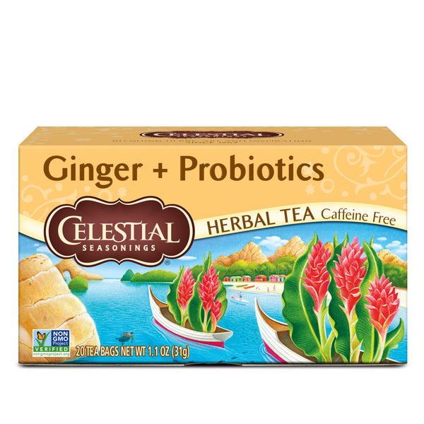 CS GINGER PROBIOTIC TEA ( 6 X 20 BAG  )